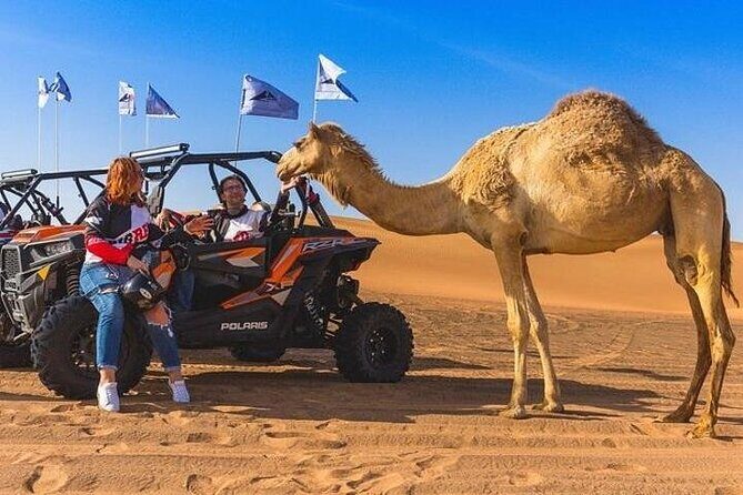 3-Hour Quad Ride with Camel Ride - FAQ