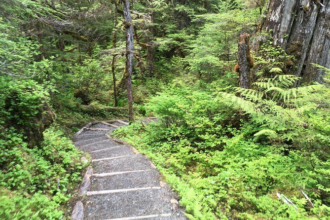 3 Hour Rainforest Walk & Totem Park Wild Wolf Tours - Why This Tour Offers Great Value