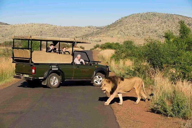 3-Hour Safari Tour in Pilanesberg National Park - An In-Depth Look at the Safari Experience