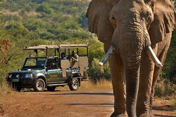 3-Hour Scheduled Safari Game Drive in Pilanesberg National Park - FAQ