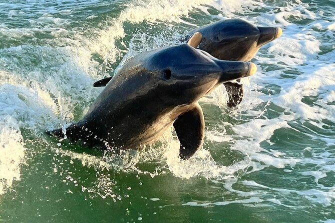 3-hour-shared-shell-key-deck-boat-adventure