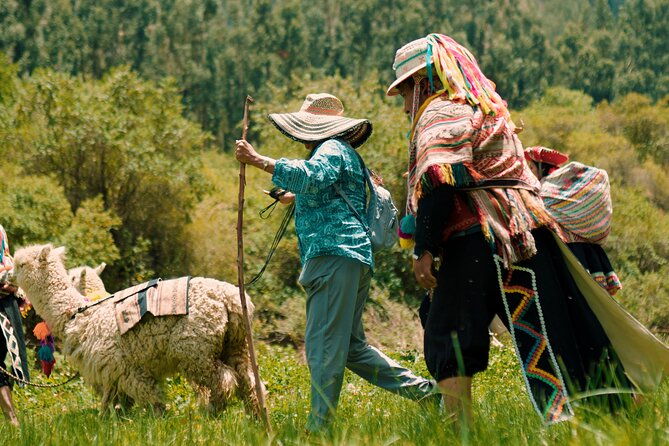 3-hour-small-group-hiking-with-alpaca-in-sacred-valley