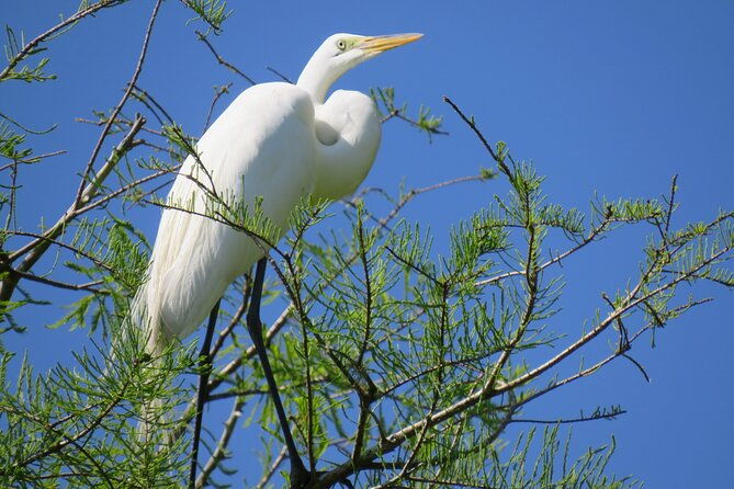 3-hour-small-group-lake-norris-kayak-activity