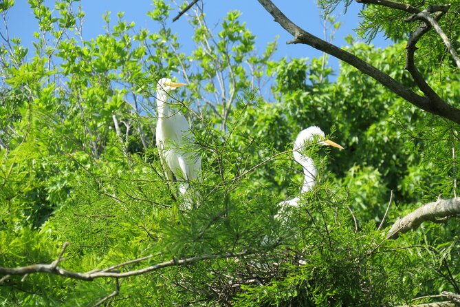 3-hour-small-group-lake-norris-kayak-activity