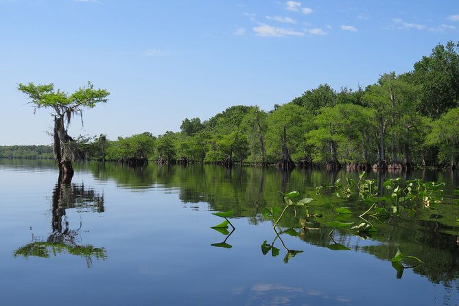 3-hour-small-group-lake-norris-kayak-activity