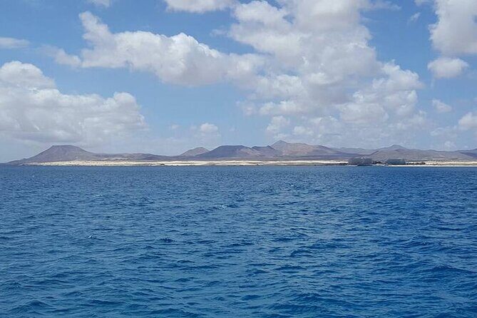 3-Hour Small-Group Sailing Tour around the Lobos Island - Practical Details and Tips
