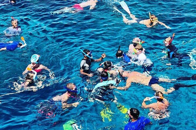 3 Hour Snorkeling and Dolphin Watching Experience in Muscat - Exploring the 3-Hour Snorkeling and Dolphin Watching Tour in Muscat