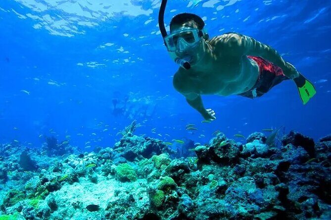 3 Hour Snorkeling and Dolphin Watching Experience in Muscat - The Experience: From Booking to the Water