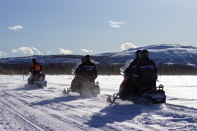 3 Hour Snowmobile Safari Around Levi with Coffee Break - Practical Tips for Your Snowmobile Safari