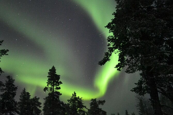 3-hour-snowmobile-safari-to-search-northern-lights-in-levi