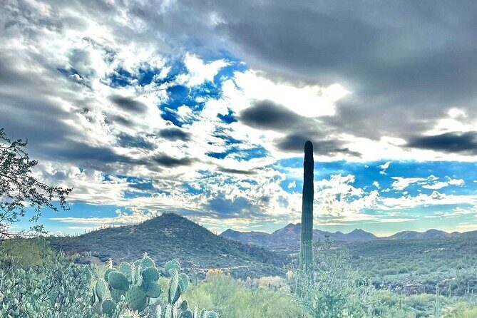 3 Hour Sonoran Desert Private Guided Mountain Bike Tour - The Experience at a Glance