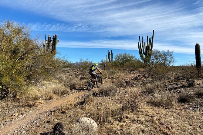 3 Hour Sonoran Desert Private Guided Mountain Bike Tour - Additional Insights from Reviewers