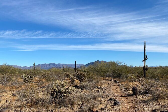 3 Hour Sonoran Desert Private Guided Mountain Bike Tour - FAQ