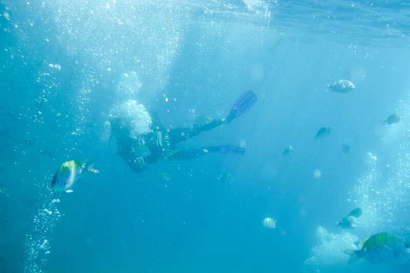 3-Hour Stand up Paddle and Snorkel at Los Cabos - Practical Tips for Your Water Adventure