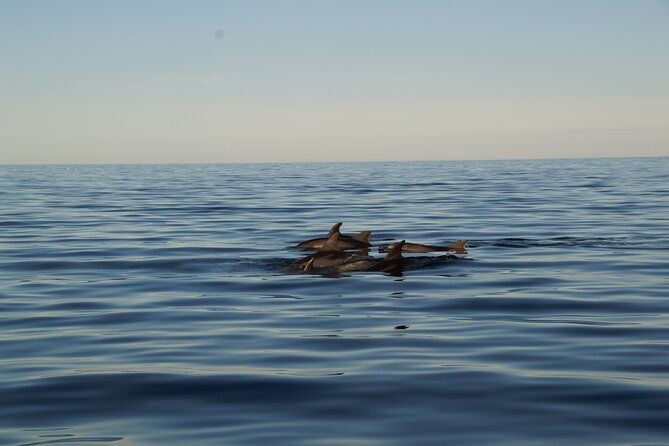 3-hour-sunset-sailing-tour-in-pula