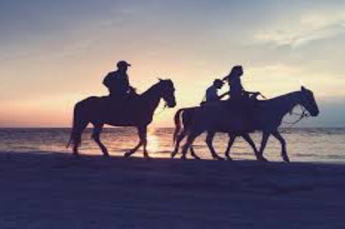 3-Hour Swim with Horses and Romantic Dinner from Hurghada hotels - Key Points