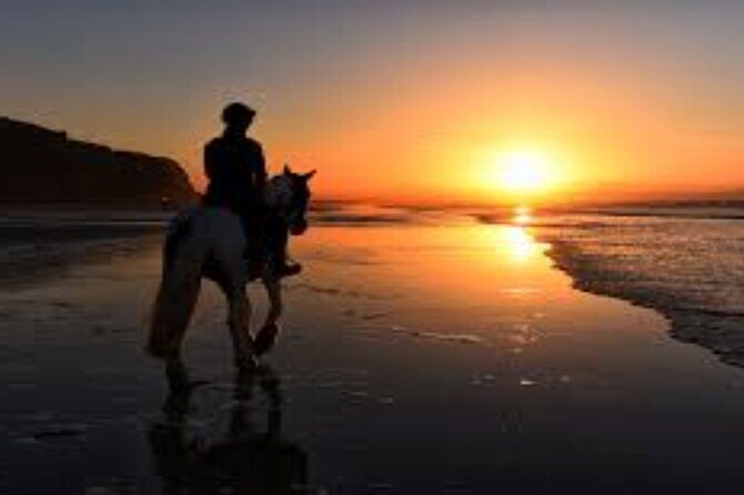 3-Hour Swim with Horses and Romantic Dinner from Hurghada hotels - Real Review Highlights