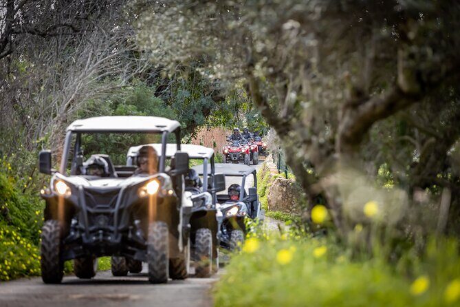 3-hour tour by Buggy or Quad in the Algarve - Practicalities: Booking, Cost, and Group Size