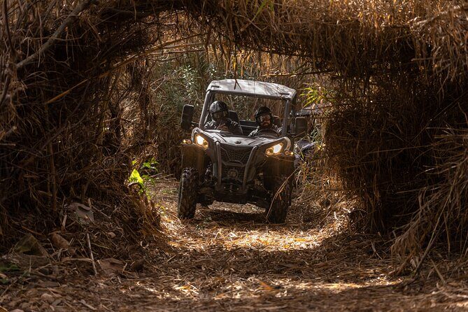 3-hour tour by Buggy or Quad in the Algarve - Why This Tour Offers True Value