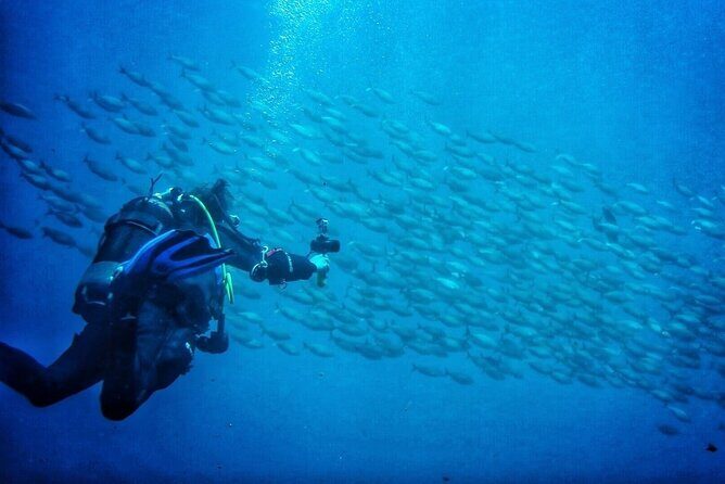 3-Hour Try Scuba Private Guided Sea Baptism from Palermo - A Closer Look at the Reviews and What They Reveal