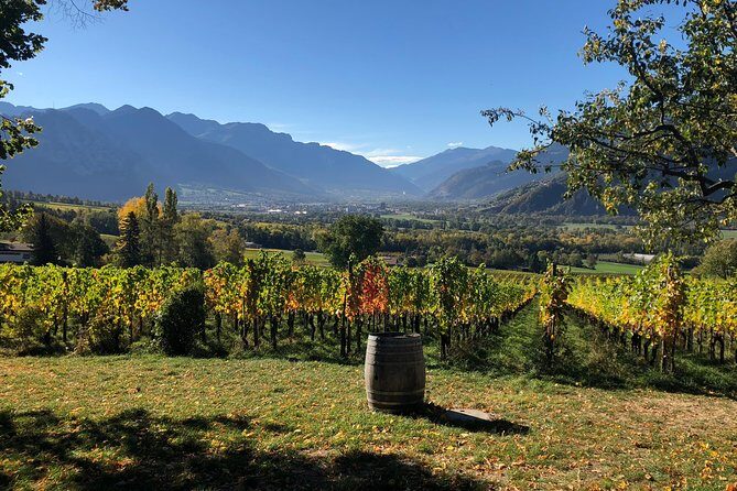3 Hour Unique Wine Tour - Half Day in Swiss Alps - A Closer Look at the Experience
