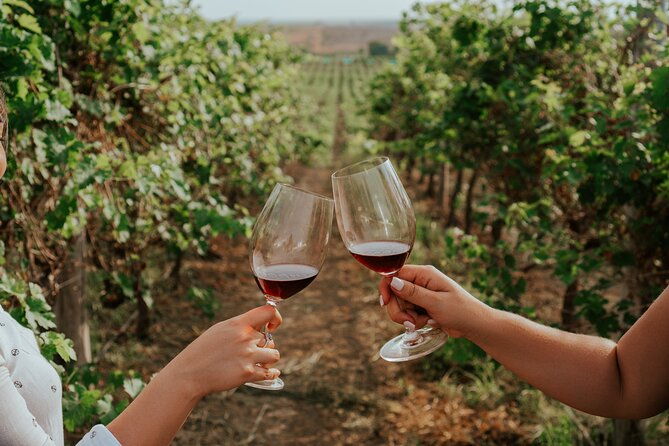 3-hour-vineyard-wine-tour-with-tasting
