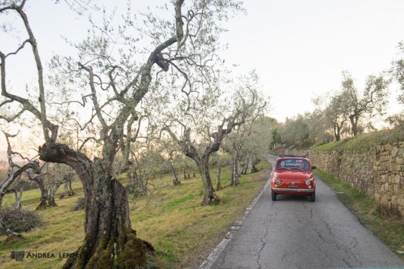 3-hour-vintage-fiat-500-chianti-classico-private-wine-tour-2