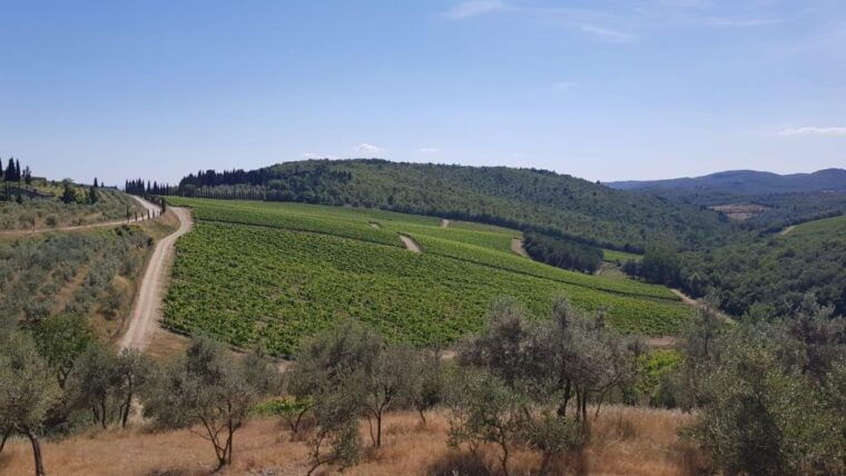 3-hour-vintage-fiat-500-chianti-classico-private-wine-tour-2