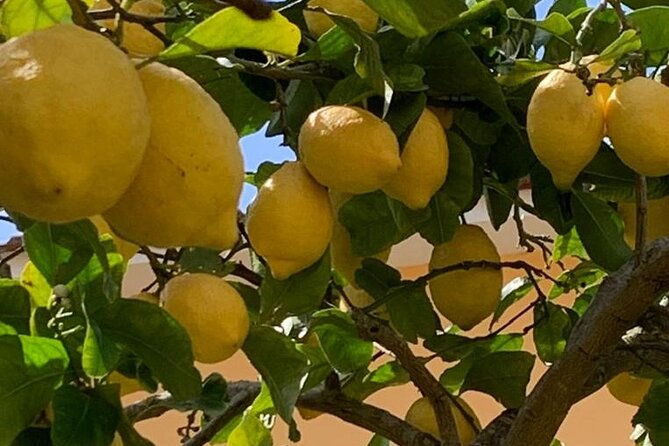 3-hour-walking-tour-of-sorrento-with-local-food-tasting