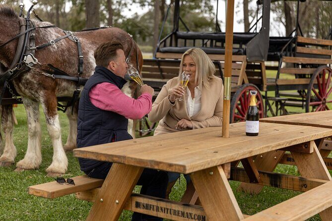 3- Hour Wine and Harvest the Hunter Horse Tour in Pokolbin - Why Choose the 3-Hour Horse and Wine Tour?