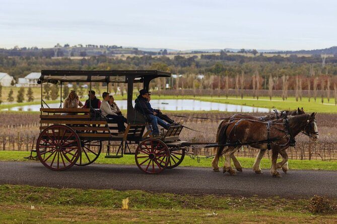 3- Hour Wine and Harvest the Hunter Horse Tour in Pokolbin - Value for Money