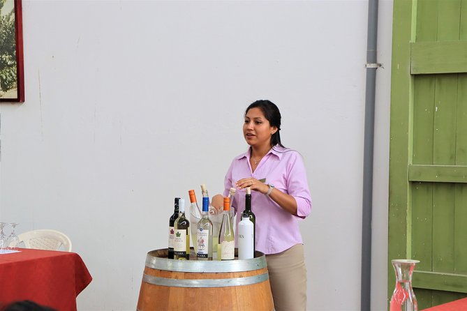 3-hour-wine-and-pisco-tour-tacama-and-el-catador
