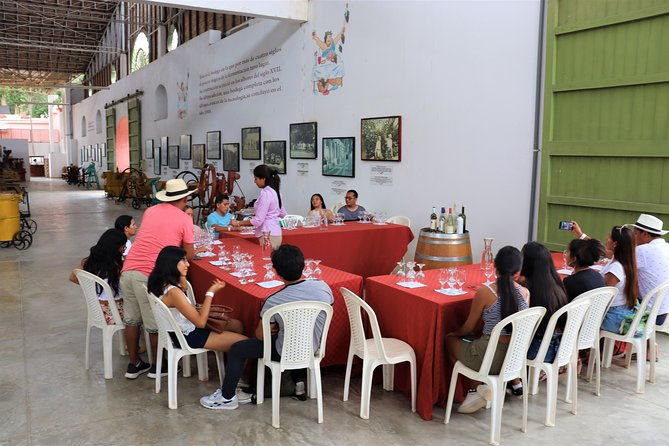 3-hour-wine-and-pisco-tour-tacama-and-el-catador
