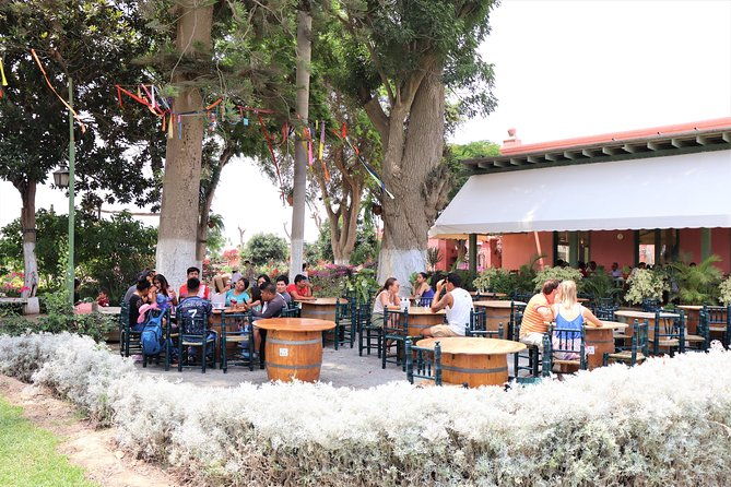 3-hour-wine-and-pisco-tour-tacama-and-el-catador