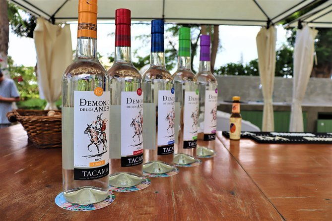 3-hour-wine-and-pisco-tour-tacama-and-el-catador