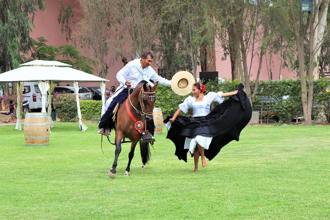 3-hour-wine-and-pisco-tour-tacama-and-el-catador