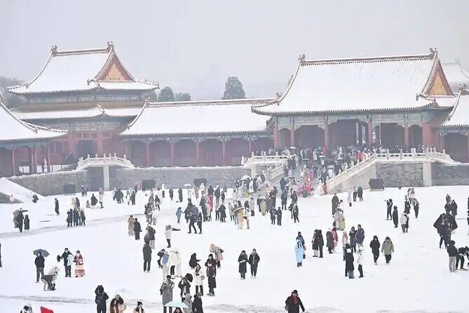 3 Hours Beijing Palace Museum Guided Tour English or Chinese - Who Should Consider This Tour?