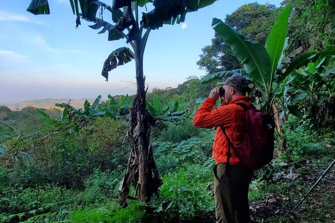 3-hours-bird-watching-guided-experience-in-bajo-cebadilla
