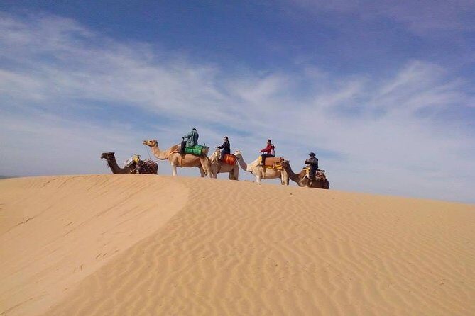 3 hours Camel Ride in Essaouira, beach and dunes - Key Points