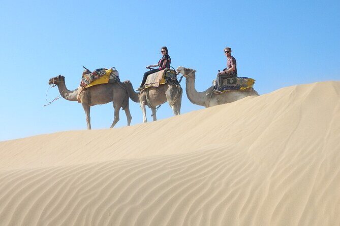 3 hours Camel Ride in Essaouira, beach and dunes - The Perfect Fit for You?