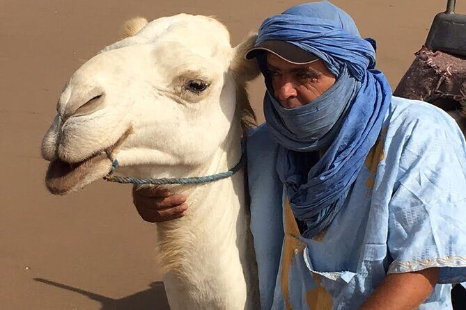 3 hours Camel Ride in Essaouira, beach and dunes - Final Thoughts