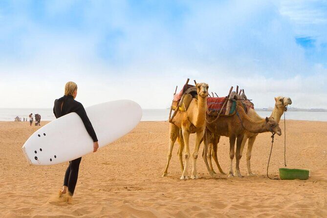 3 hours Camel Ride in Essaouira with Dinner and Overnight in Berber Camp - Key Points