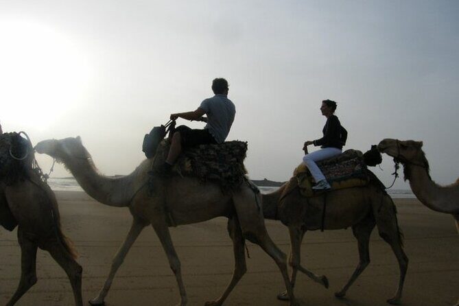 3 hours Camel Ride in Essaouira with Dinner and Overnight in Berber Camp - A Closer Look at the Experience