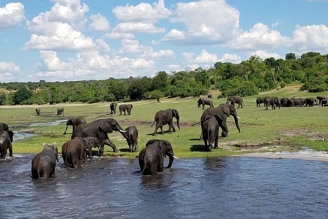 3 Hours Chobe River Boat Cruise - Final Thoughts