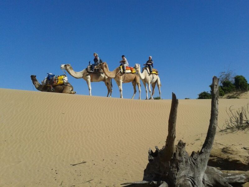 3-Hours Dromedary Ride Essaouira, Morocco - Key Points