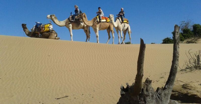 3-Hours Dromedary Ride Essaouira, Morocco - The Itinerary and Experience in Detail