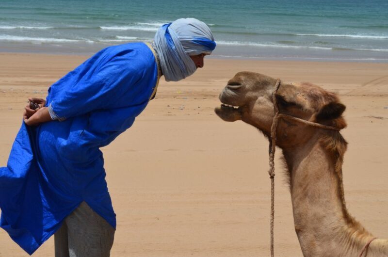3-Hours Dromedary Ride Essaouira, Morocco - Analyzing the Value
