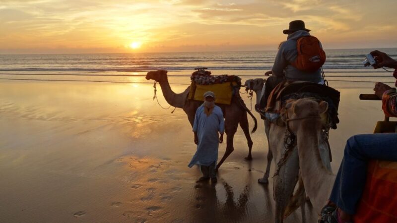3-Hours Dromedary Ride Essaouira, Morocco - Who Would Love This Experience?