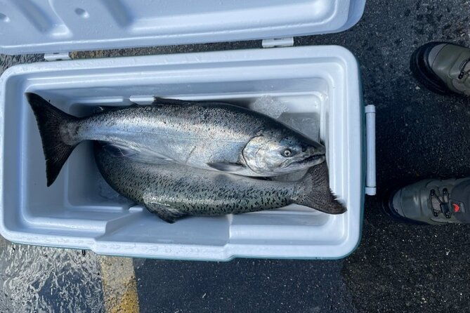 3-hours-fishing-experience-class-in-juneau