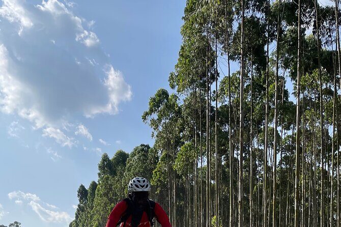 3 Hours Guided Cycling Tour Across Lake Victoria - FAQs